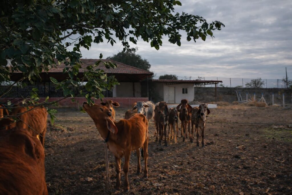 whatsapp image 2026 02 11 at 11.21.43 am