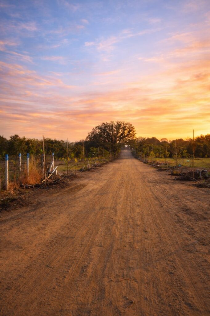 whatsapp image 2026 02 11 at 11.21.45 am (1)