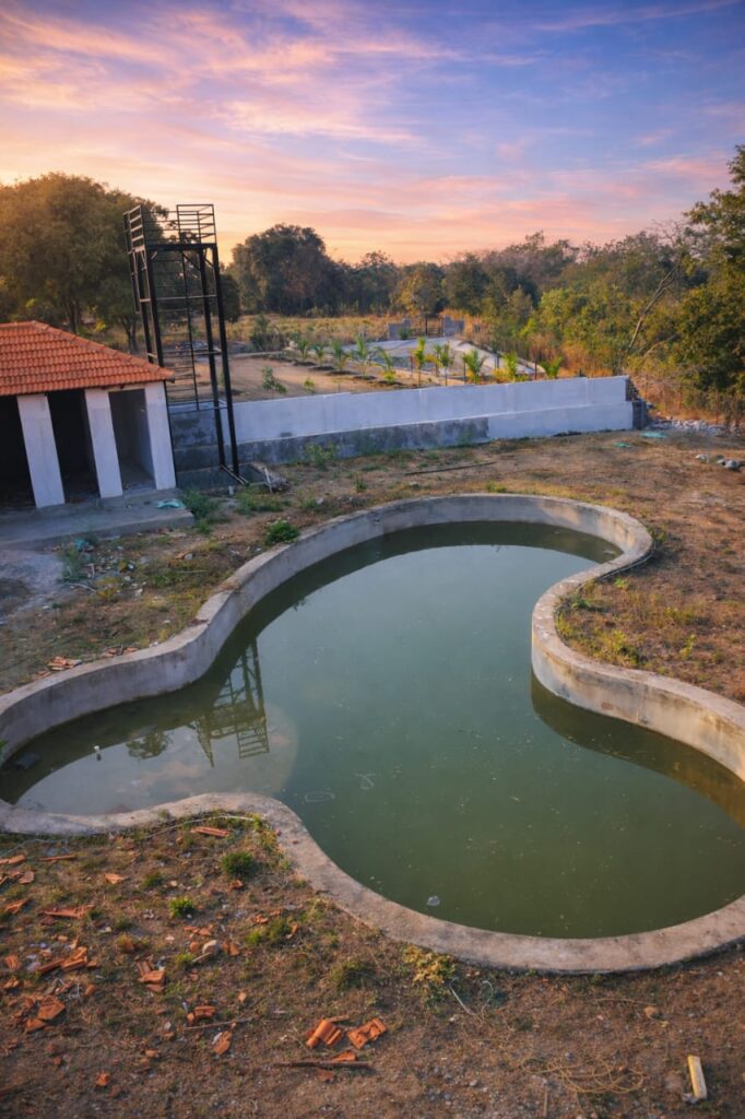 whatsapp image 2026 02 11 at 11.21.46 am (2)