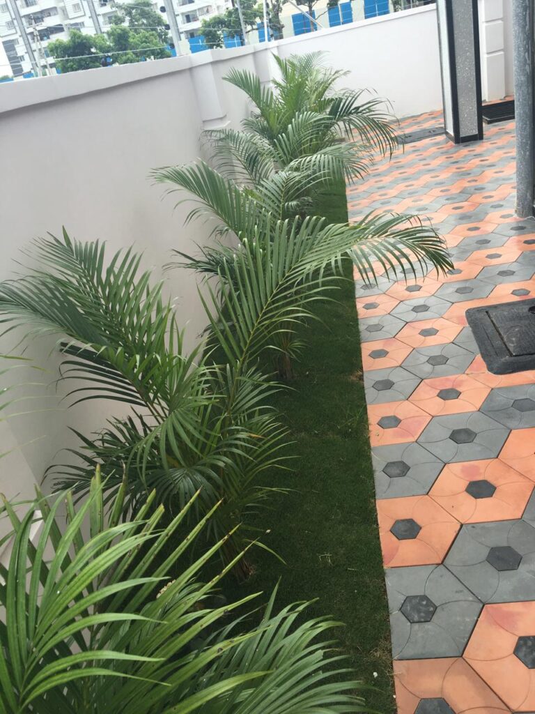 whatsapp image 2026 02 11 at 11.24.18 am